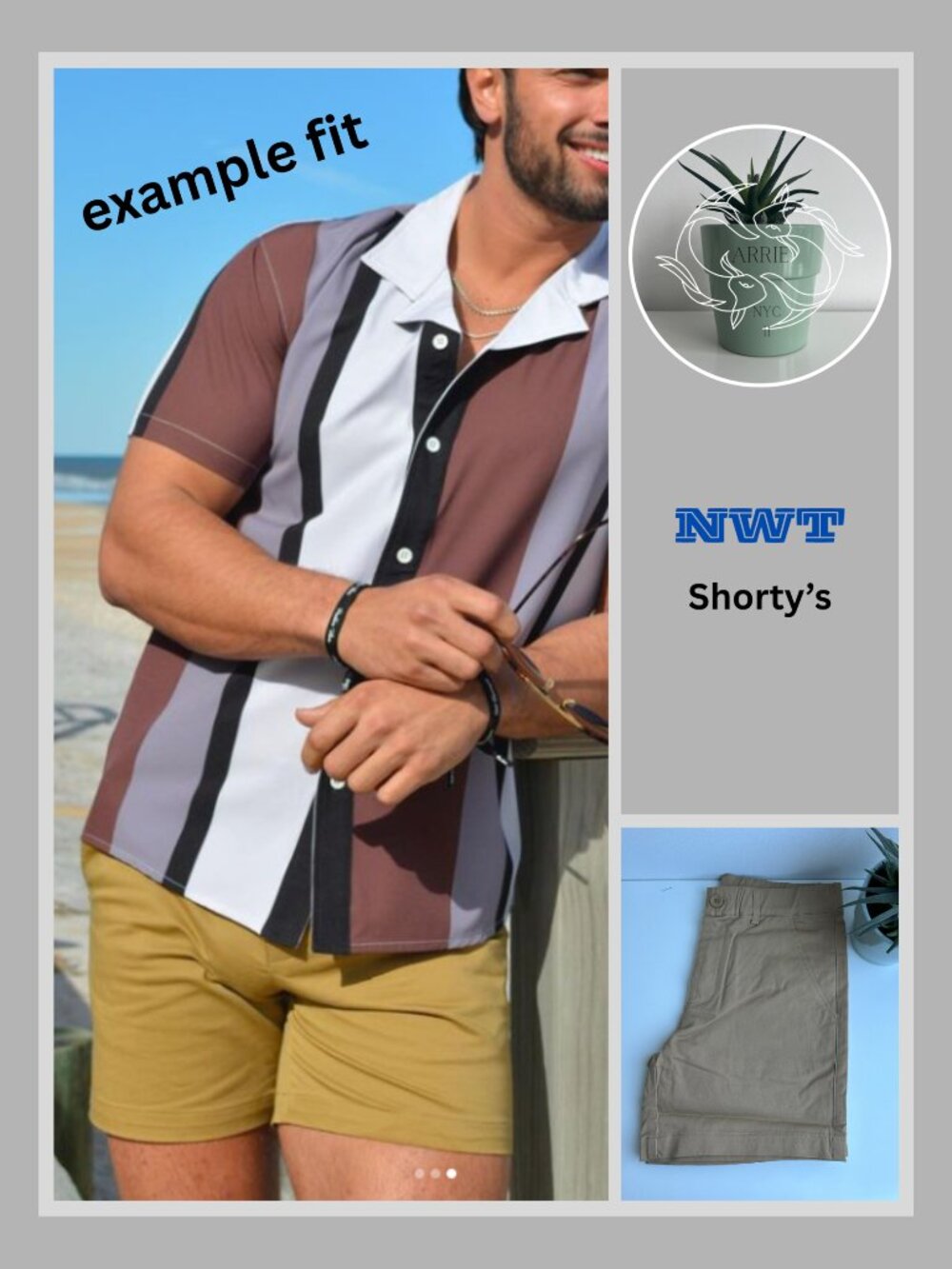 Shorty's - Chino Short - Brown (S)